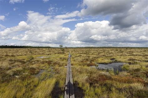 15 Best National Parks in Sweden - Itinku