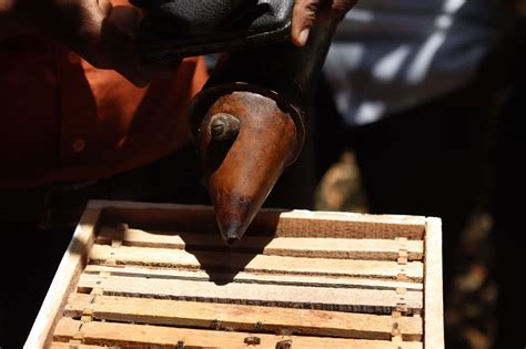 Beekeeper Capacity Building Training Programme launched under the “4PS ...