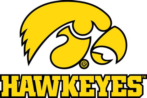 University of Iowa Wall Decals | Hawkeyes Tigerhawk multicolored