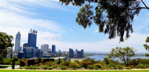 Kings Park and Botanic Garden in Perth Stock Photo - Image of view ...