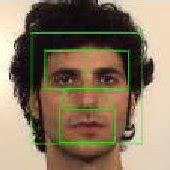 Regions of interest for the face image. | Download Scientific Diagram
