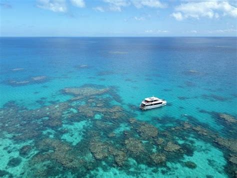 Port Douglas: Outer Great Barrier Reef Snorkeling Cruise