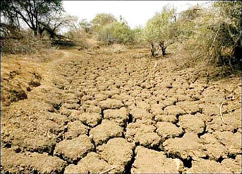 SRI LANKA Drought warning in Sri Lanka: 60,000 hectares of cultivated land at risk