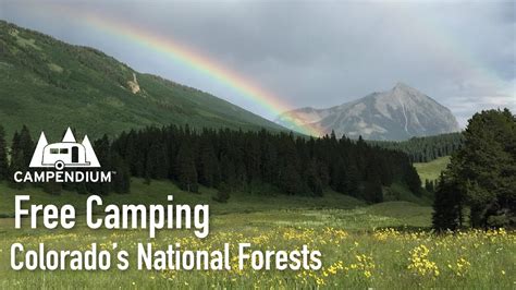 Free Camping in Colorado’s National Forests - Get All Camping