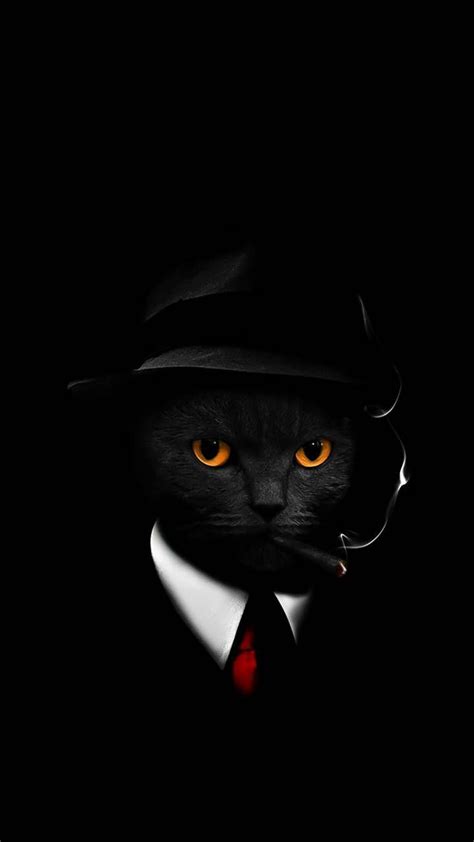 🔥 [30+] Cool Black Cat Wallpapers | WallpaperSafari