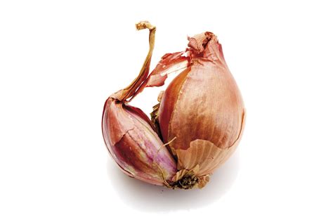 What Are Shallots?