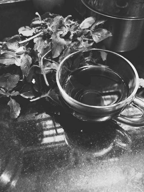 Free stock photo of black and white, green tea, herbal drink