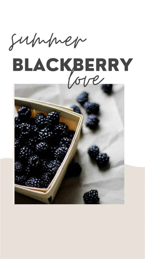 From Garden to Glow: 10 Blackberry Recipes for Your Skin, Face, and ...