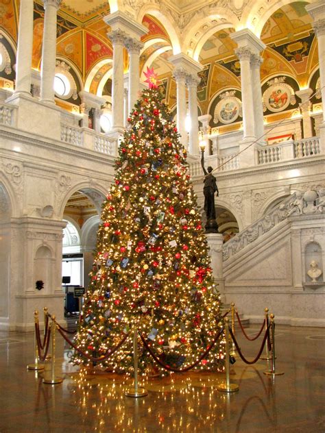 Christmas Tree, Library of Congress Great Hall | The Library… | Flickr