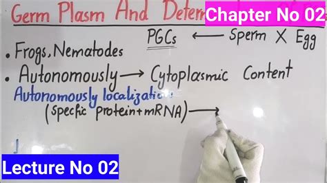 Germ Plasm And The Determination Of The Primordial Germ Cell | Lecture No 02 | Developmental ...