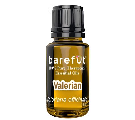 Valerian Essential Oil - Barefut Essential Oils