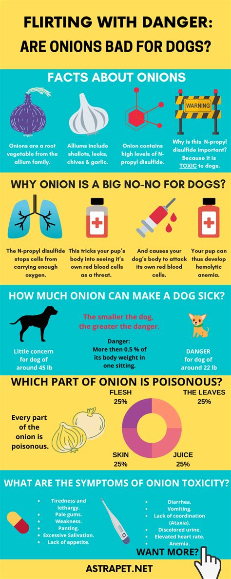 What Are The Symptoms Of Onion Poisoning In Dogs