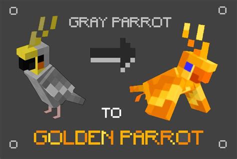 Gray parrot to Golden Parrot (bedrock) 1.20.2/1.20.1/1.20/1.19.2/1.19.1 ...