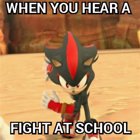 Shadow Meme by shadae53 on DeviantArt