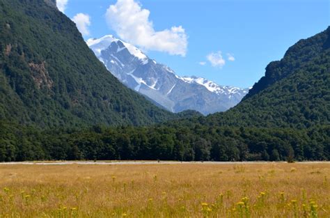 Dart River Valley New Zealand AKA Isengard OC - Photorator