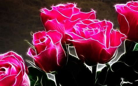 Hot Pink Roses - Roses Wallpaper (11661786) - Fanpop