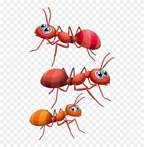 Red Ant Cartoon - Free Transparent PNG Clipart Images Download