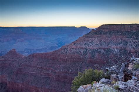 A Tree Falling: Grand Canyon Sunrise