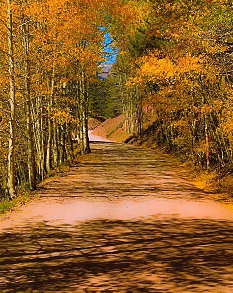 Colorado Fall Colors on Behance