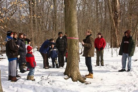 Maple Syrup Tour | Tours, Field trip, Tapping maple trees