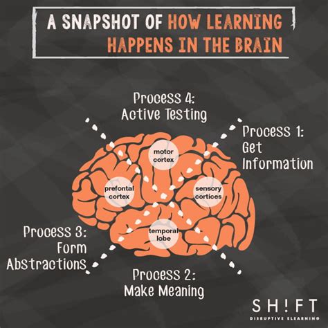 How the Brain Learns—A Super Simple Explanation for eLearning Professionals