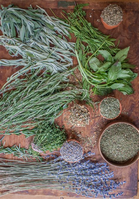 How To Dry Fresh Herbs Using A Dehydrator – Herbal Academy