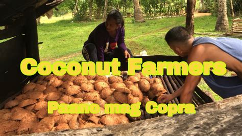 Coconut Farmers Paano mag Copra “ Mr Dalisay Vlog “ Mr Dalisay Farm ...