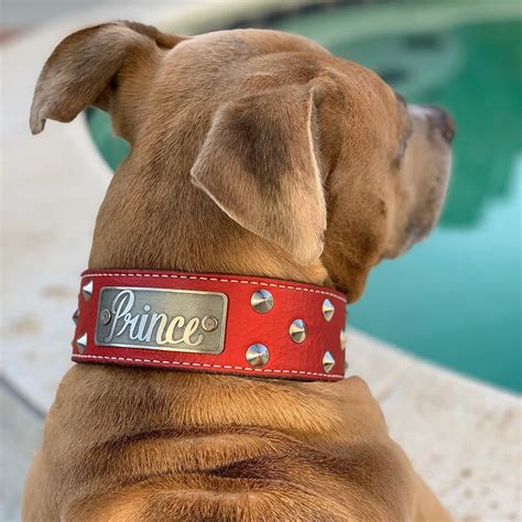 Personalized Studded Leather Dog Collar - 2" Wide - Pit Bull Gear