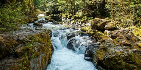 10 Classic Hikes Near Eugene, Oregon - Outdoor Project