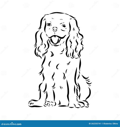 Cavalier King Charles Dog Vector Image Silhouette Stock Vector ...