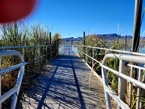 Havasu National Wildlife Refuge, an Arizona National Wildlife Refuge located near Lake Havasu City