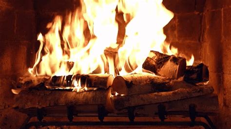 Fire Fireplace GIF by NETFLIX - Find & Share on GIPHY