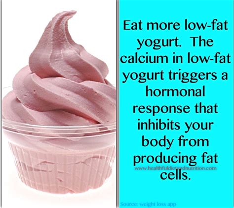 (5/294.) Eat More Low Fat yogurt | MyHealthfulDiet.Com