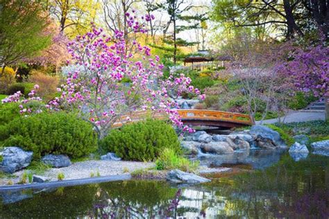 Japanese garden | Elements, Types, Examples, & Pictures | Britannica.com