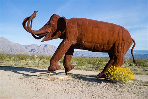 Ricardo Breceda sculpture in Borrego Springs