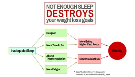 How Much Sleep Is Needed For Weight Loss - WeightLossLook