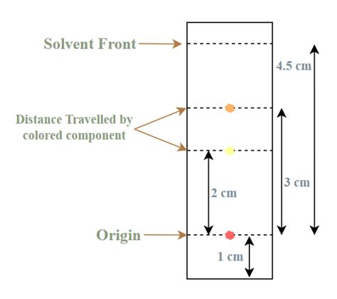 Retention Factor Formula: Definition, Examples, and FAQs