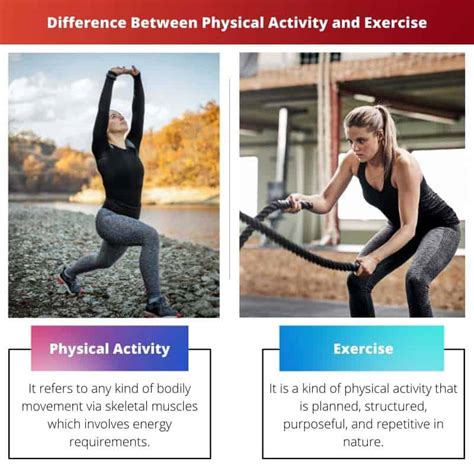 Physical Activity vs Exercise: Difference and Comparison