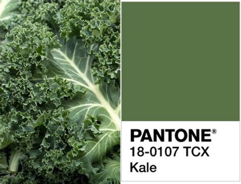 Top Trend 2017: Kale Color - http://homeklondike.site/2016/12/15/top ...