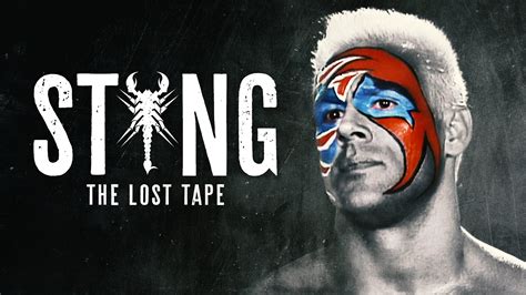 Wcw Sting Logo