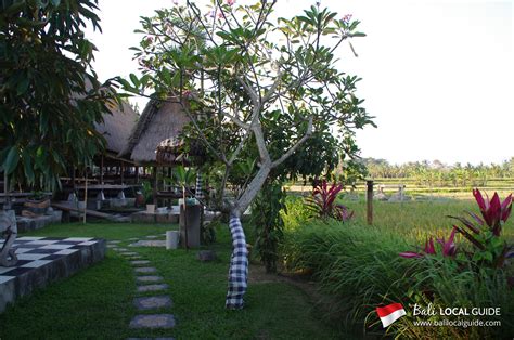 Sawah Indah : Review & Photos | Bali Local Guide