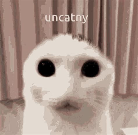 Uncanny Cat GIF - Uncanny Cat - Discover & Share GIFs