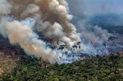 Amazon Rainforest Fires: Everything You Should Know - Tech News Era