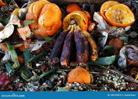 Rotten, Old Fruit and Vegetables Stock Image - Image of garbage, mould ...