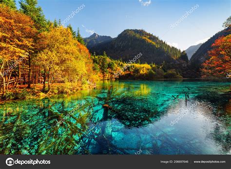 Fantastic View Five Flower Lake Multicolored Lake Fall Woods Jiuzhaigou — Stock Photo © efired ...