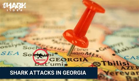 Shark Attacks in Georgia [Updated September 2023]
