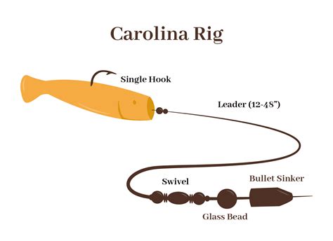 The Carolina Rig Is One Of The Most Popular Bass Rigs Available And ...