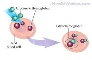 Glycosylated Hemoglobin Test Cost in India, Treatment, Hospital, Top Doctor - Updated 2024