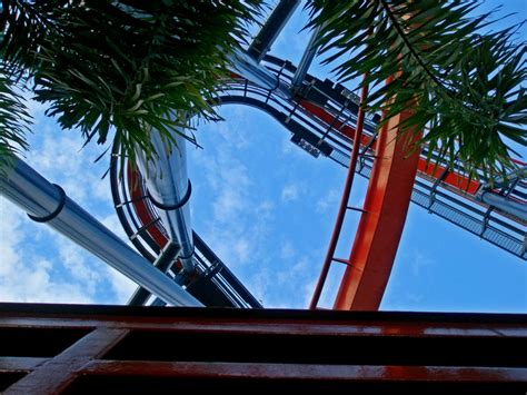 Below Sheikra Roller Coaster by iCorzo on DeviantArt