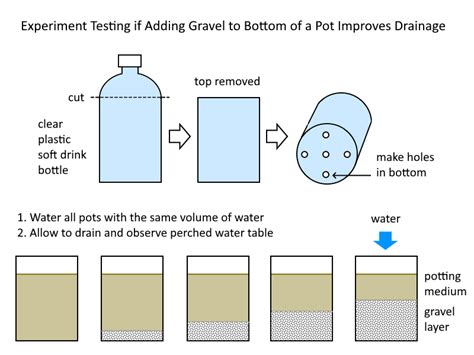 perched-water-table-experiment – Deep Green Permaculture